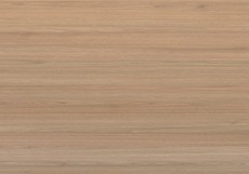 Tasmanian Oak